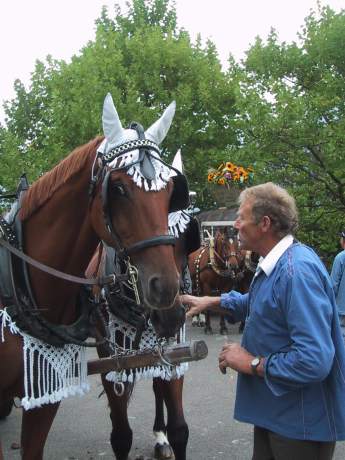 ../Images/11_cheval_habille.jpg