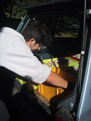 en voiture!